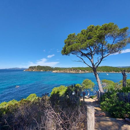 Apartament Coquet Studio Avec Belle Terrasse La Londe-les-Maures Zewnętrze zdjęcie