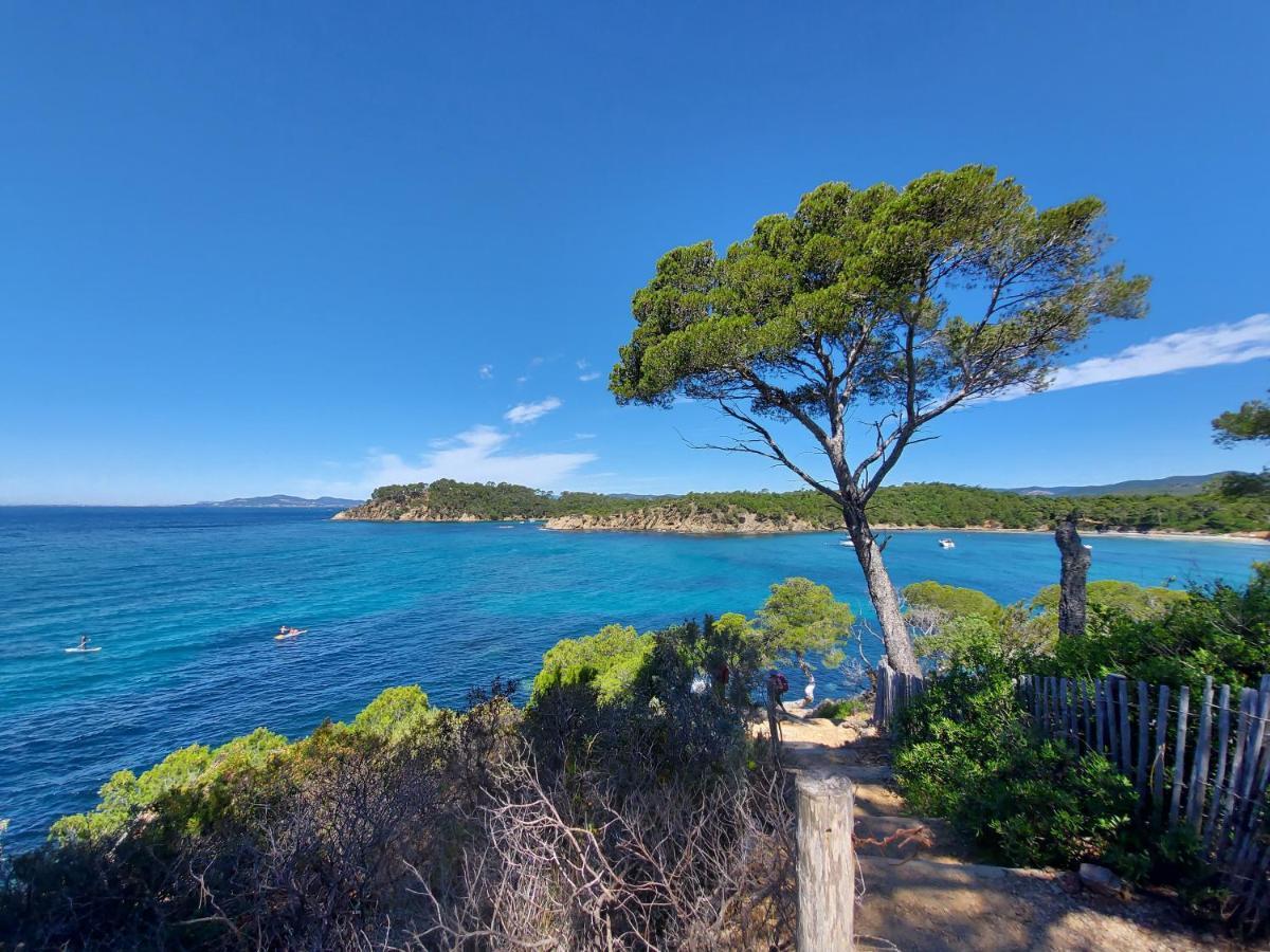 Apartament Coquet Studio Avec Belle Terrasse La Londe-les-Maures Zewnętrze zdjęcie